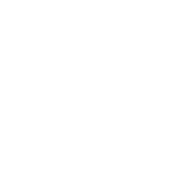 Fast Onboarding Icon