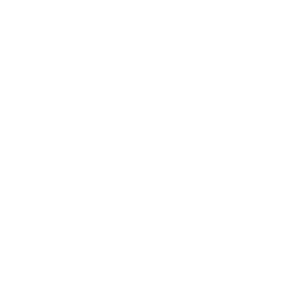 Remote First Friendly Icon