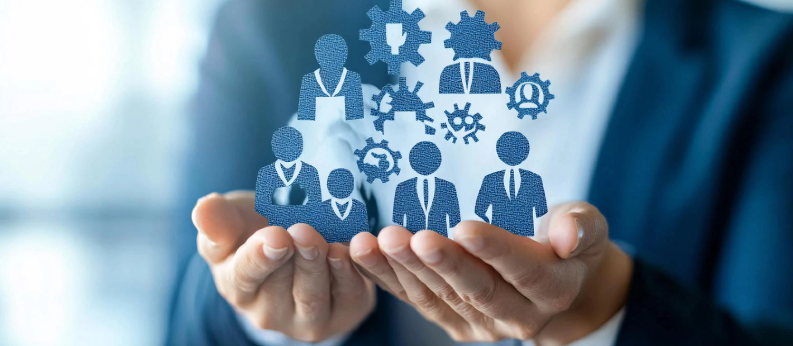 Everything You Need to Organize Your Teams